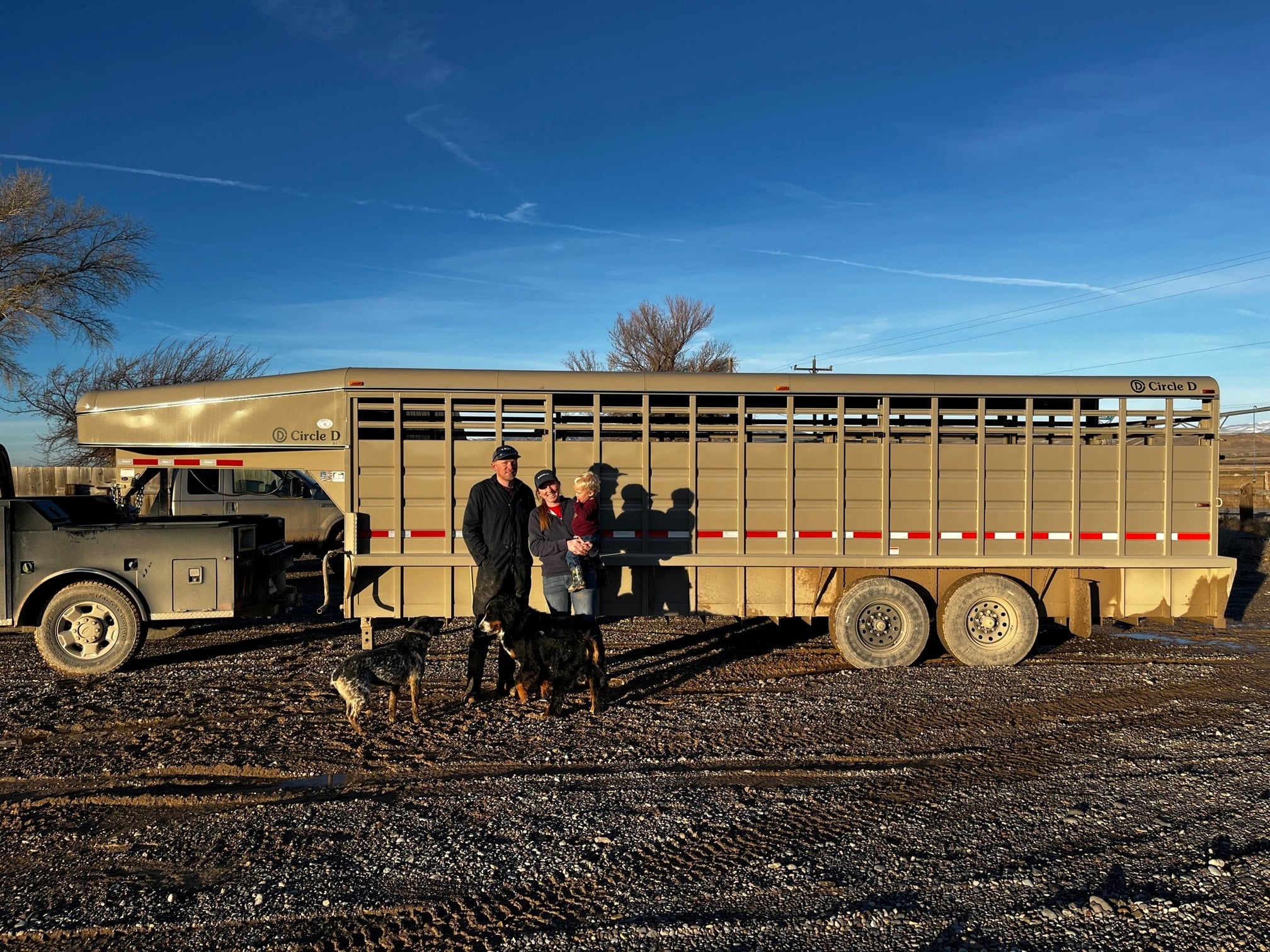 trailer purchased