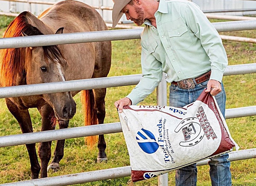 feeding a horse
